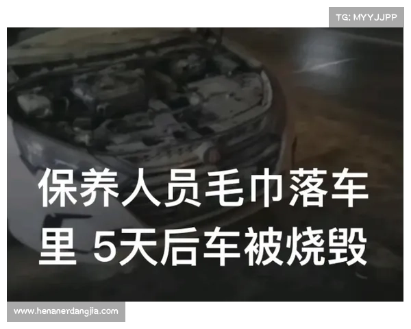 SUV保养14天后,启动时突发自燃 SUV保养14天后,启动时突发自燃